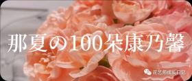 100朵康乃馨vol.1 | 野马康乃馨，复古感高级感层次感它都有 